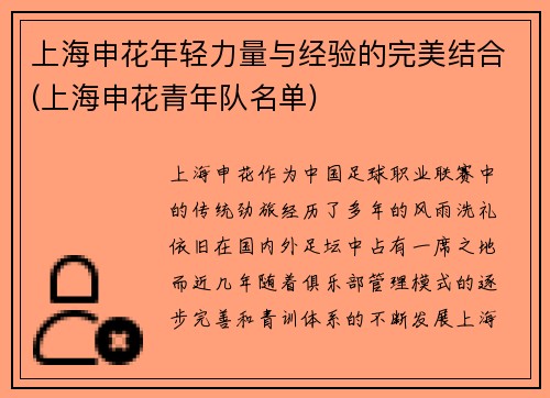 上海申花年轻力量与经验的完美结合(上海申花青年队名单)