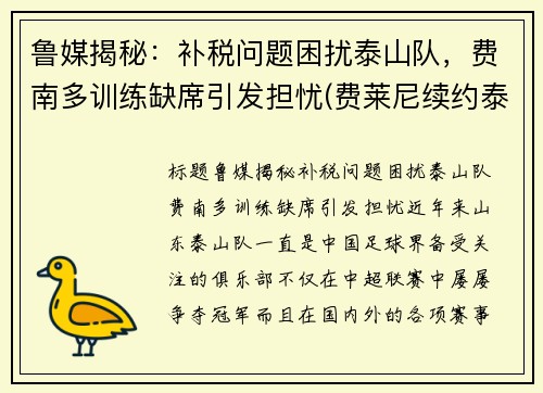 鲁媒揭秘：补税问题困扰泰山队，费南多训练缺席引发担忧(费莱尼续约泰山)