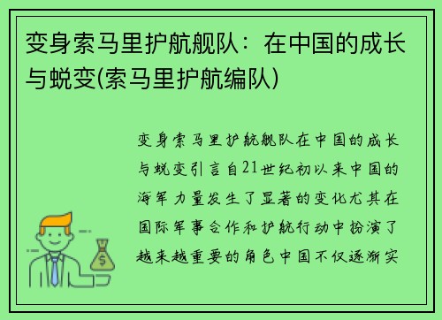 变身索马里护航舰队：在中国的成长与蜕变(索马里护航编队)