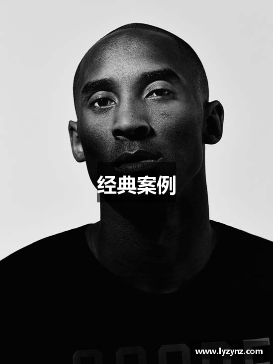 经典案例